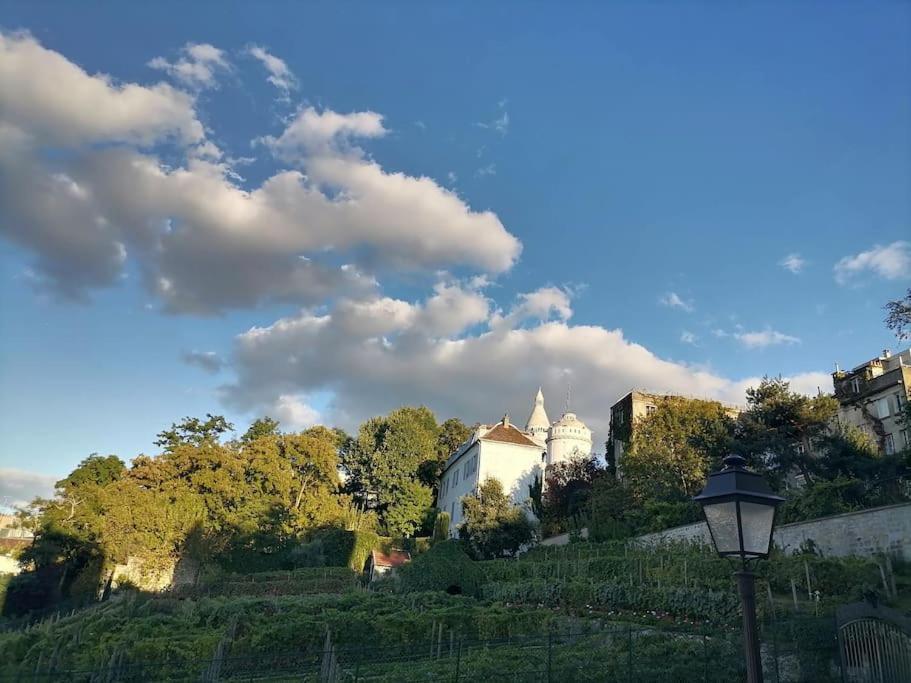 Appartamento Avec Vue Exceptionnelle A Montmartre. *